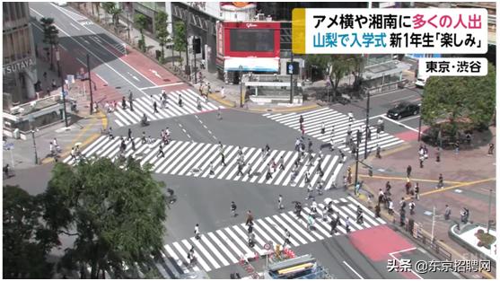 疫情好转客运量回升,疫情增加人数趋势