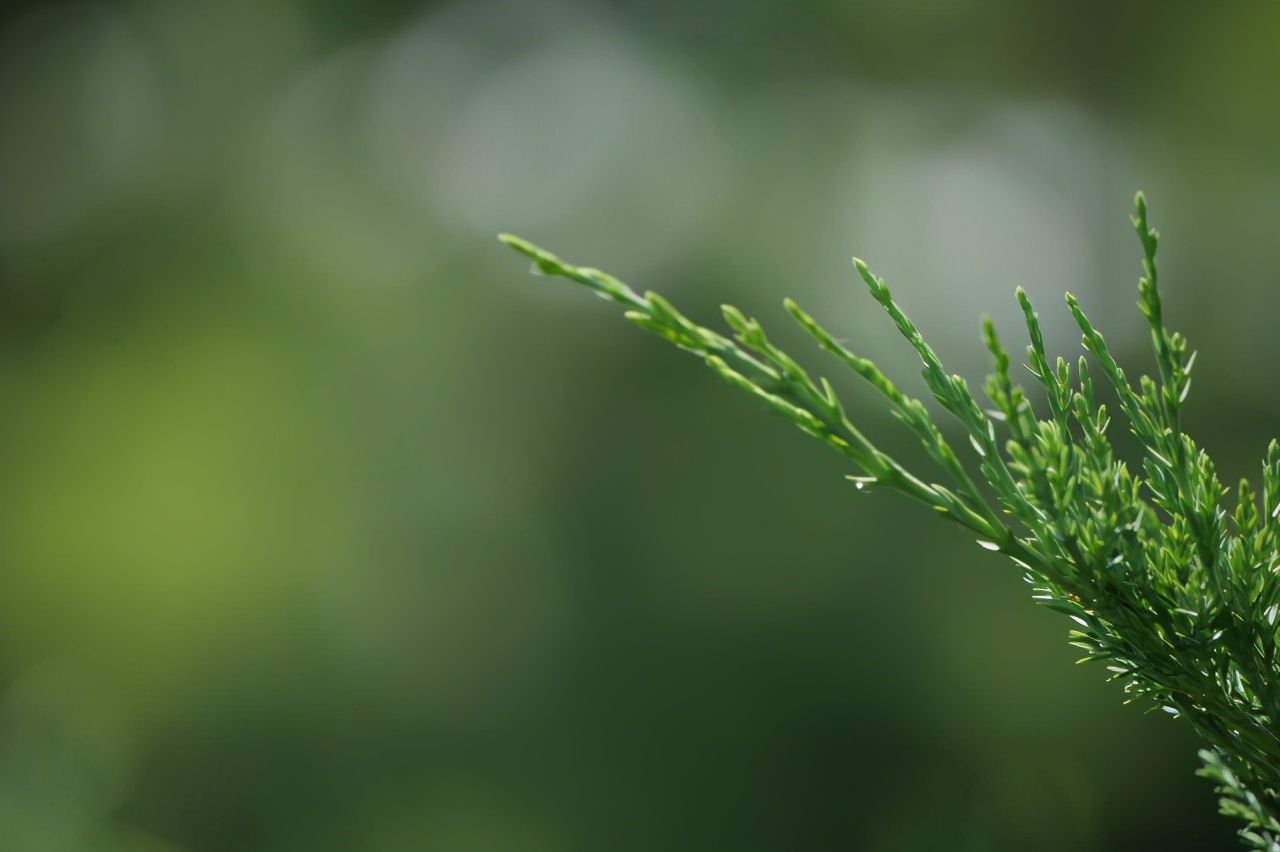 L鍗″彛闀跨劍闀滃ご,l鍗″彛70-300闀跨劍闀滃ご鎺ㄨ崘