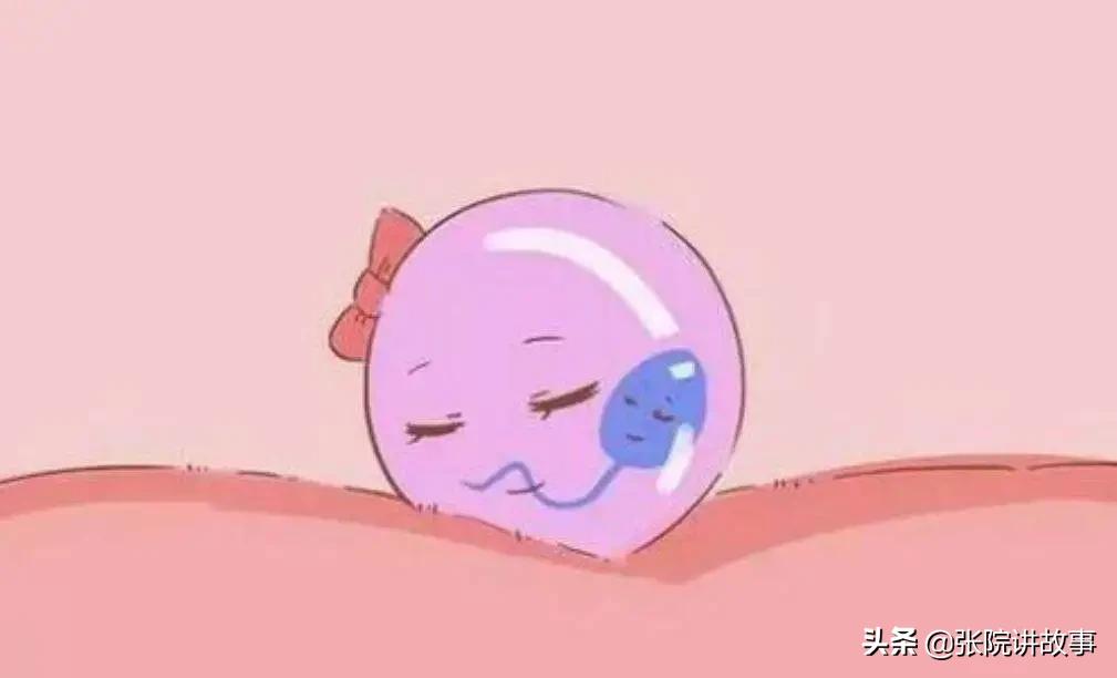 「张院讲故事」子宫内膜炎是如何导致女性不孕的?