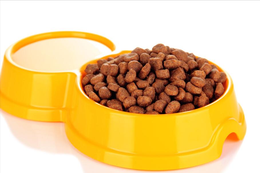 明明有猫窝就是不睡,冬天狗子睡地板不睡狗窝