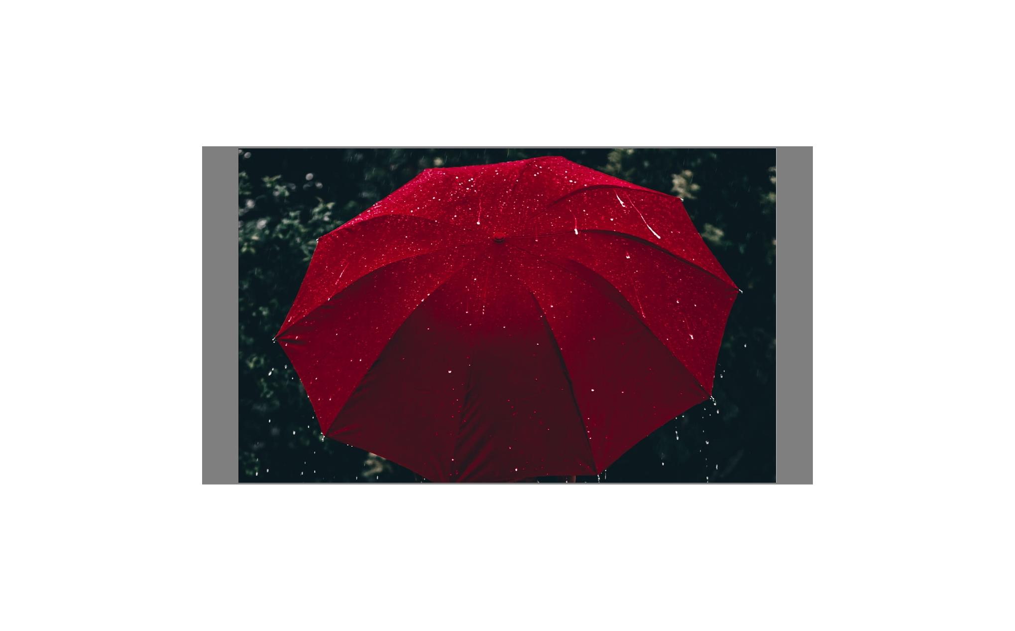 媚丽：“危险的”保险公司：9家日本寿险公司破产和大而不倒的AIG