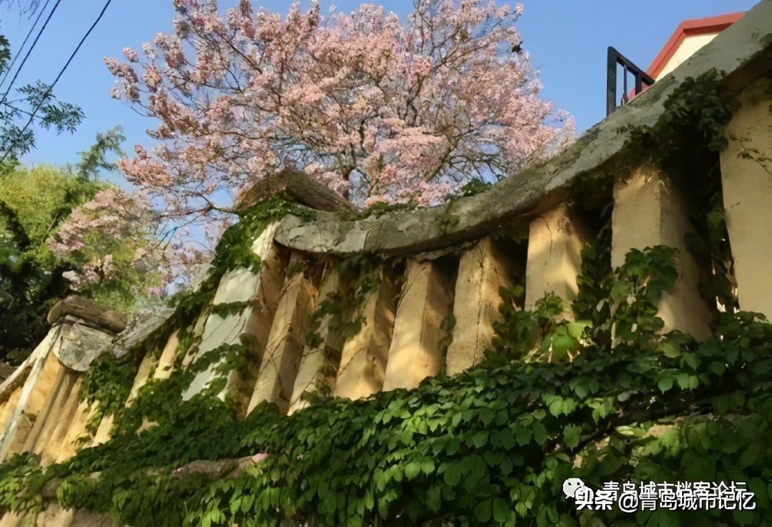 青岛中山路上著名的老街,青岛太平路街景