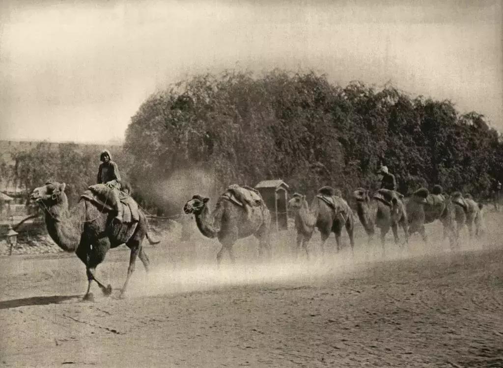 北平与北京有什么区别,为啥北平叫北京呢