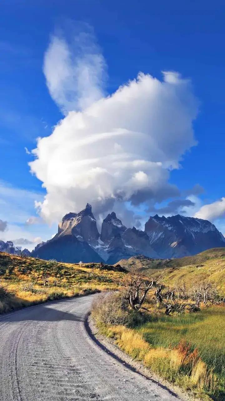 墙壁上的苔藓怎么处理,墙壁上长青苔