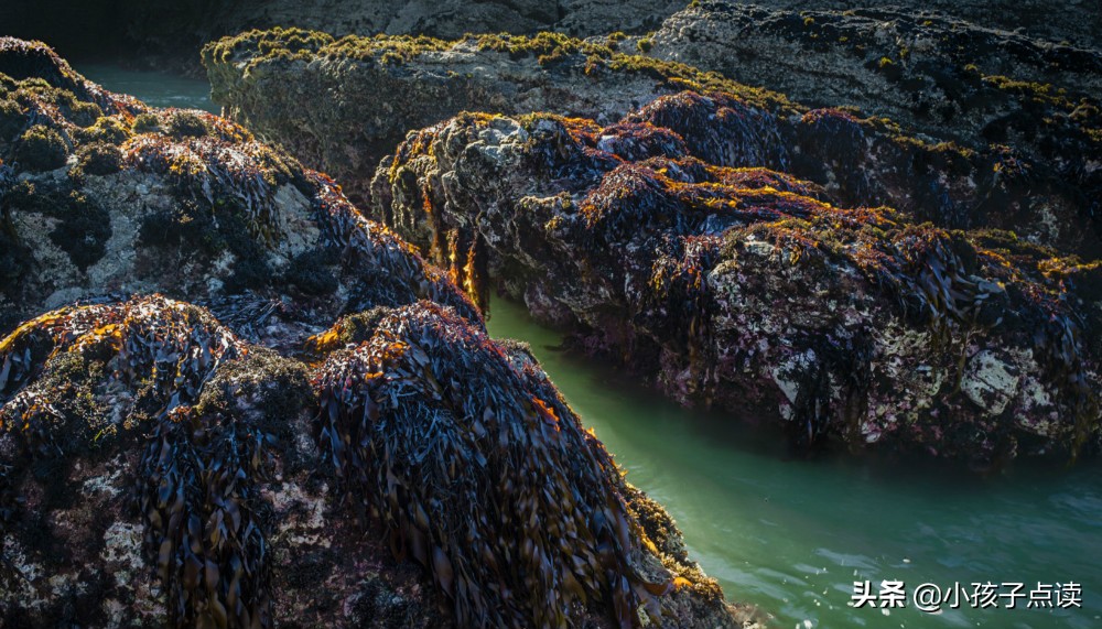 音乐古诗词经典唯美名句,描写音乐的最好古诗词