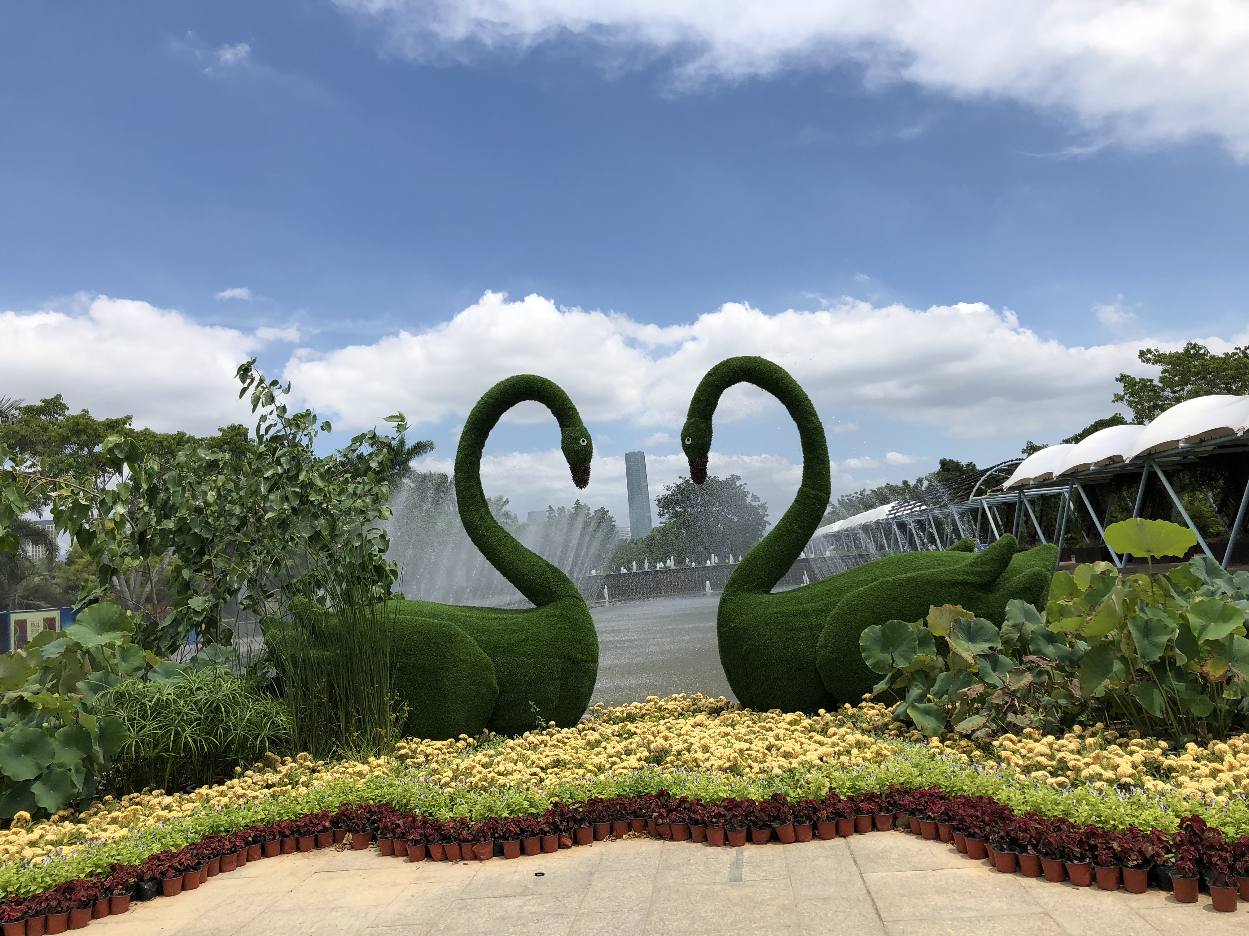 厦门园林水上博览园,厦门园博苑水上乐园