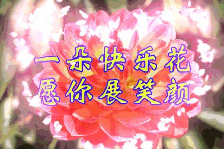 盘点匪夷所思的奇葩设计,逼疯人类十大奇葩设计