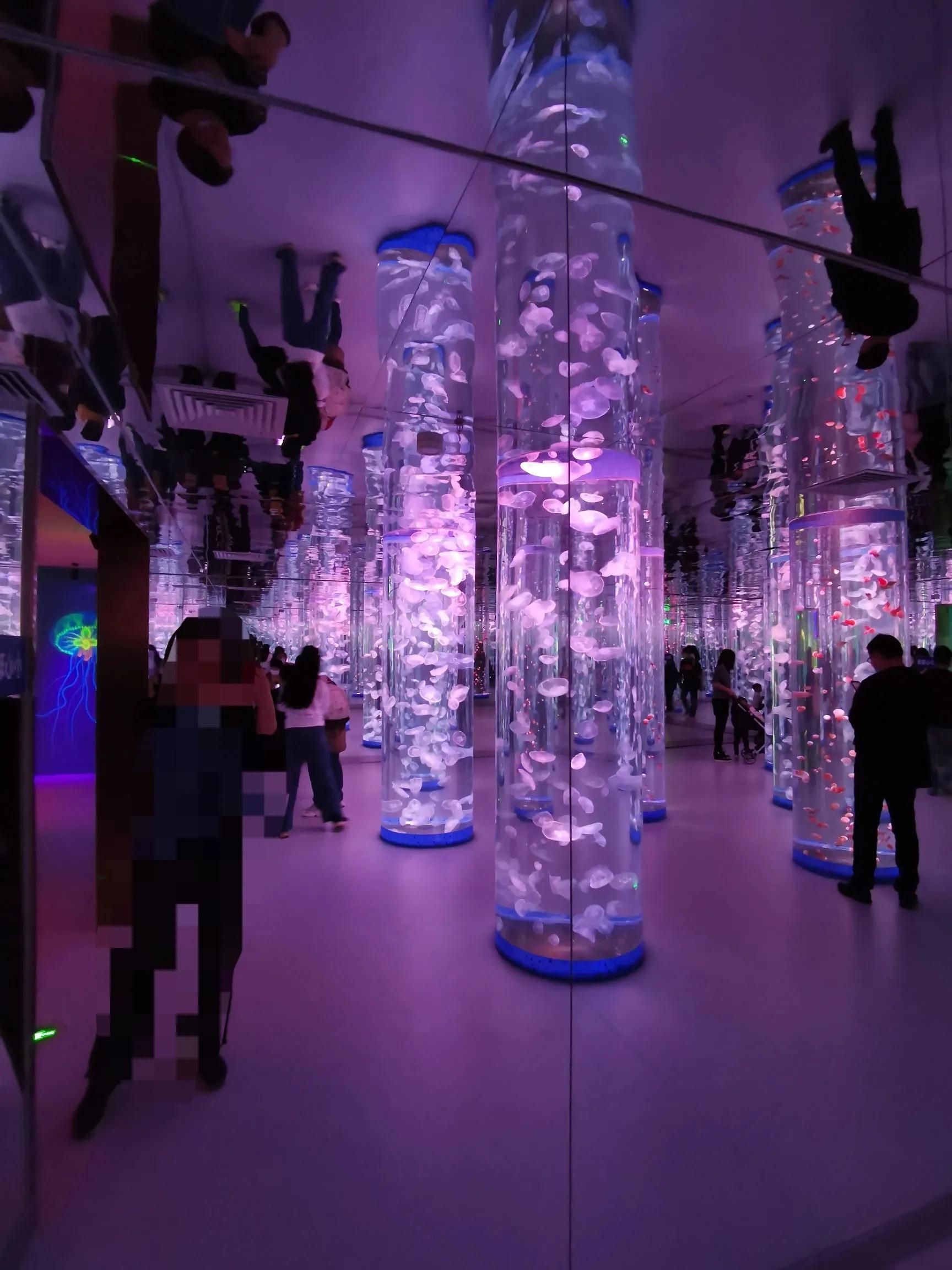 璧拌繘娴锋磱鍔ㄧ墿娴峰簳涓栫晫,鍙傝娴峰簳涓栫晫娴锋磱鍔ㄧ墿瑙嗛