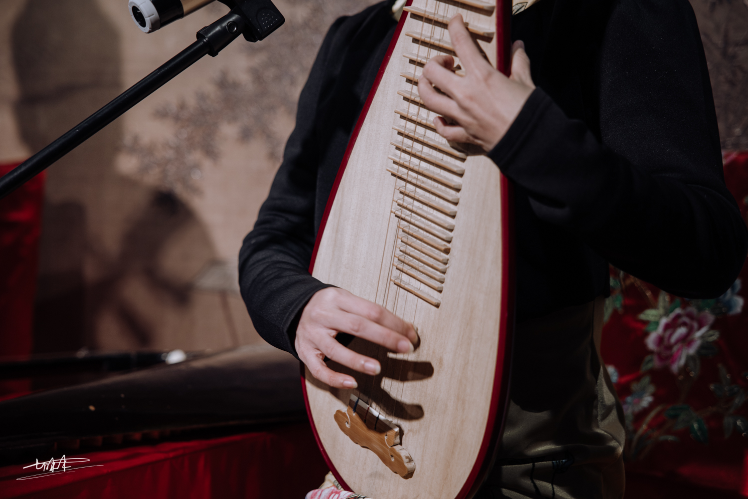 梦里水乡乌镇周庄风景视频,周庄版梦里水乡