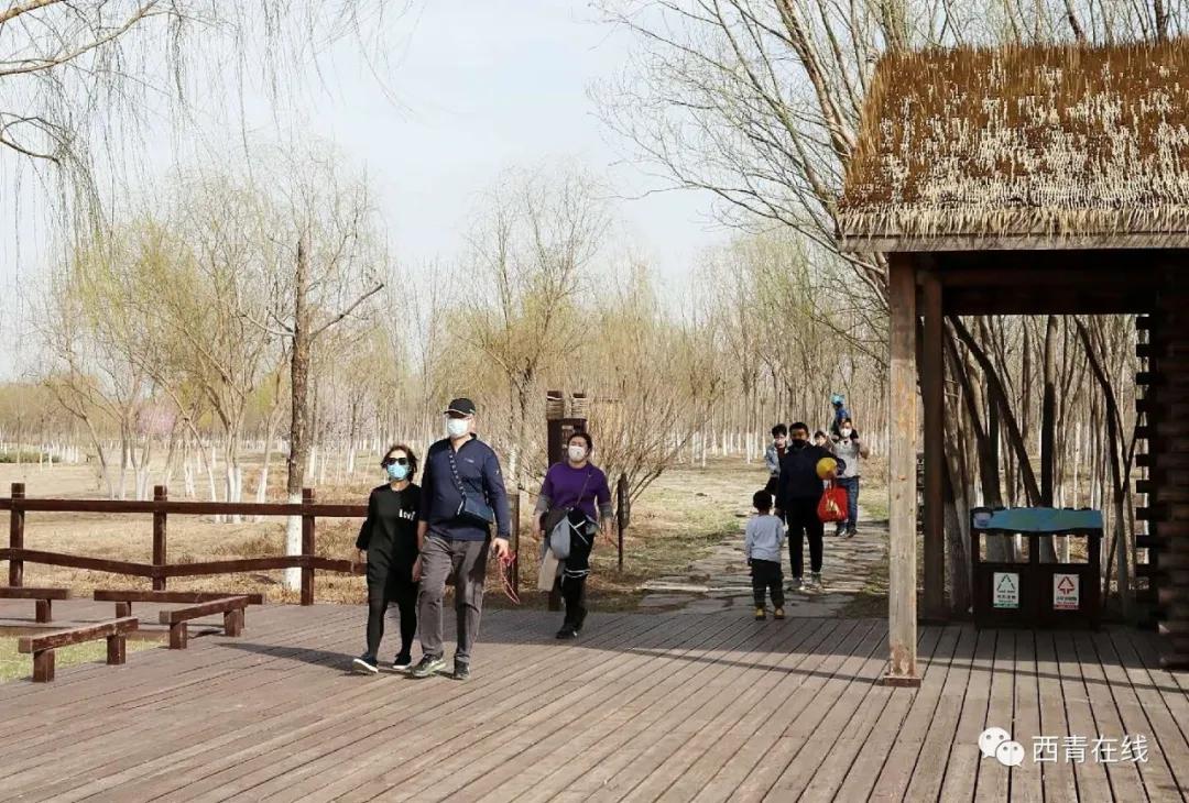 天津最近新开放的公园,天津东疆亲海公园2022年开放吗