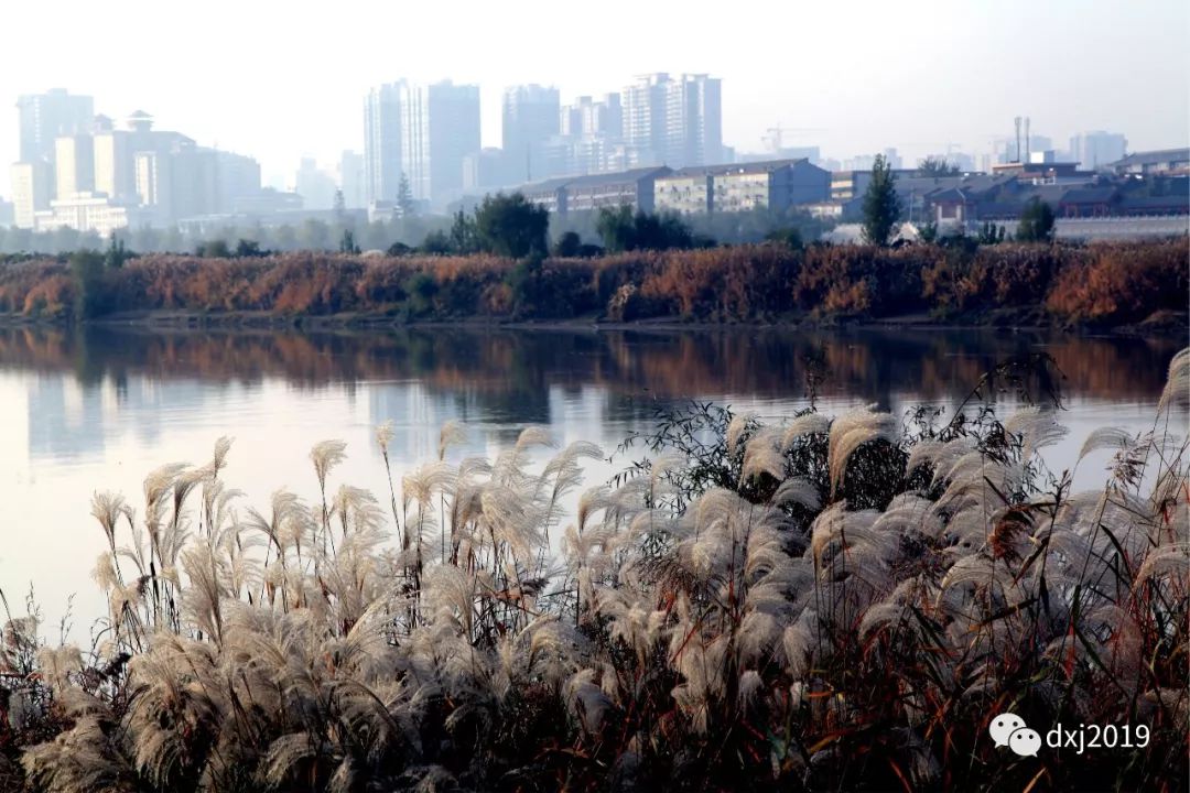 咸阳湖渭水河畔,渭城区咸阳湖