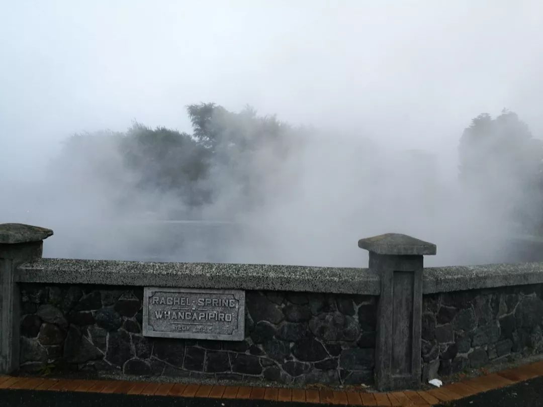 难忘的新西兰之行,在新西兰难忘的日子