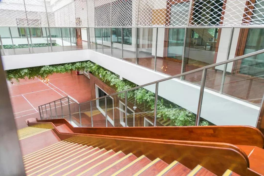 不好好上课，带着孩子到处跑，汇爱德幼稚园为何被央视导演相中？