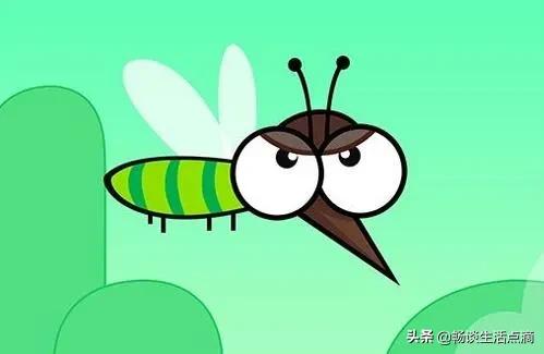 去除夏日蚊子的生活妙招,花园去除蚊子的小妙招