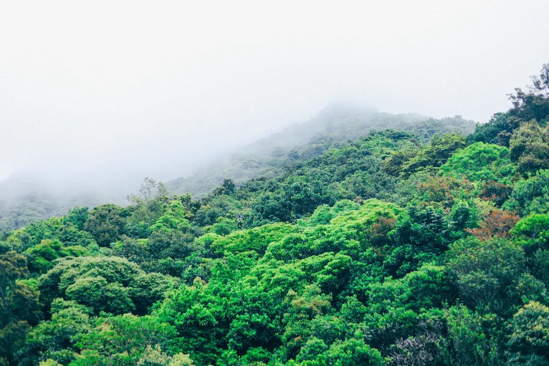 深圳值得打卡的建筑物,深圳最值得打卡的山