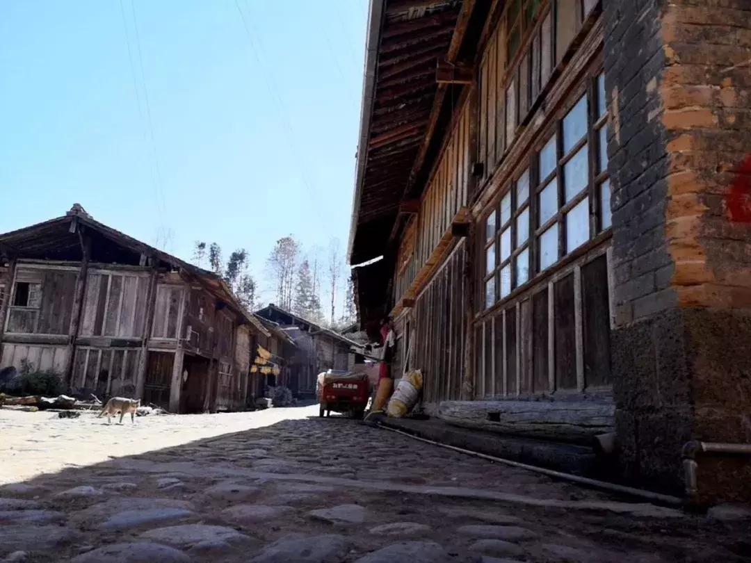 我的团长我的团和顺之战,我的团长我的团十年生死两茫茫