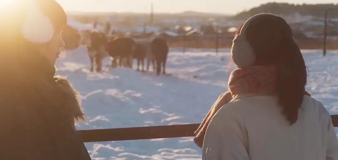 微信新功能隐藏聊天记录怎么弄,微信新功能聊天记录怎么隐藏