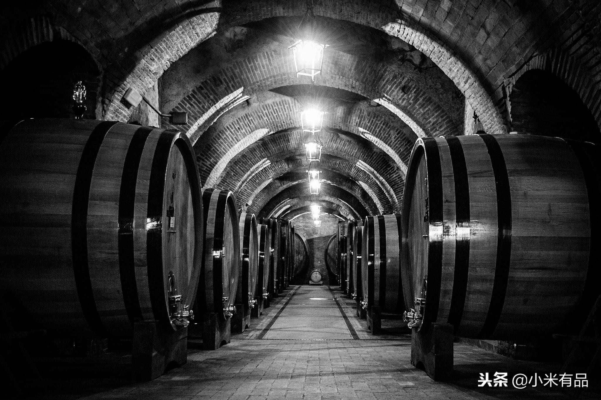 有了红酒之后你是否考虑添一款红酒柜?性价比非常高的那种