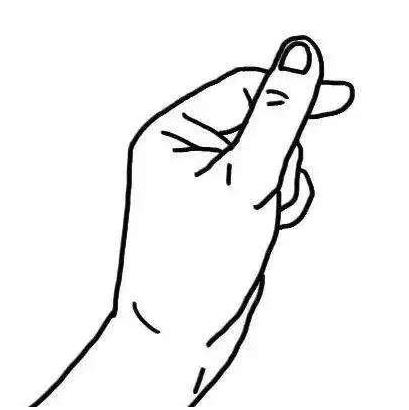 最适合新手养的小型淡水热带鱼,十大适合新手养的中大型热带鱼