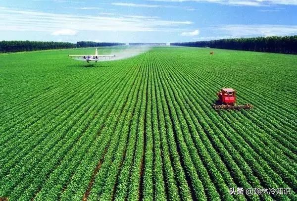 加州的经济有多发达,美国加州和纽约州哪个经济强