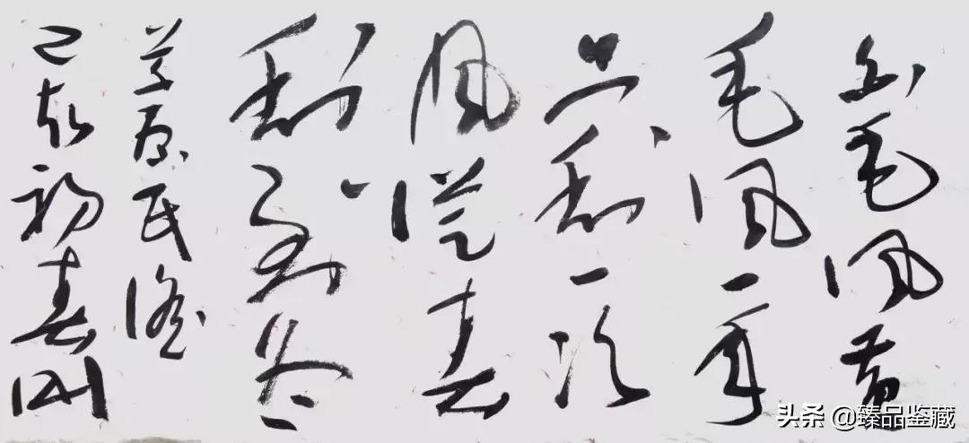 杨刚画家,杨刚画家达州