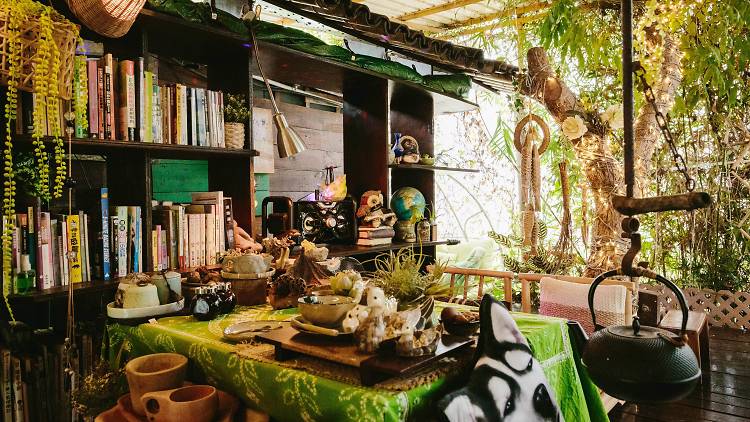 百年树屋，天空之镜，红砖市集，跳蚤市场…尽在锦田