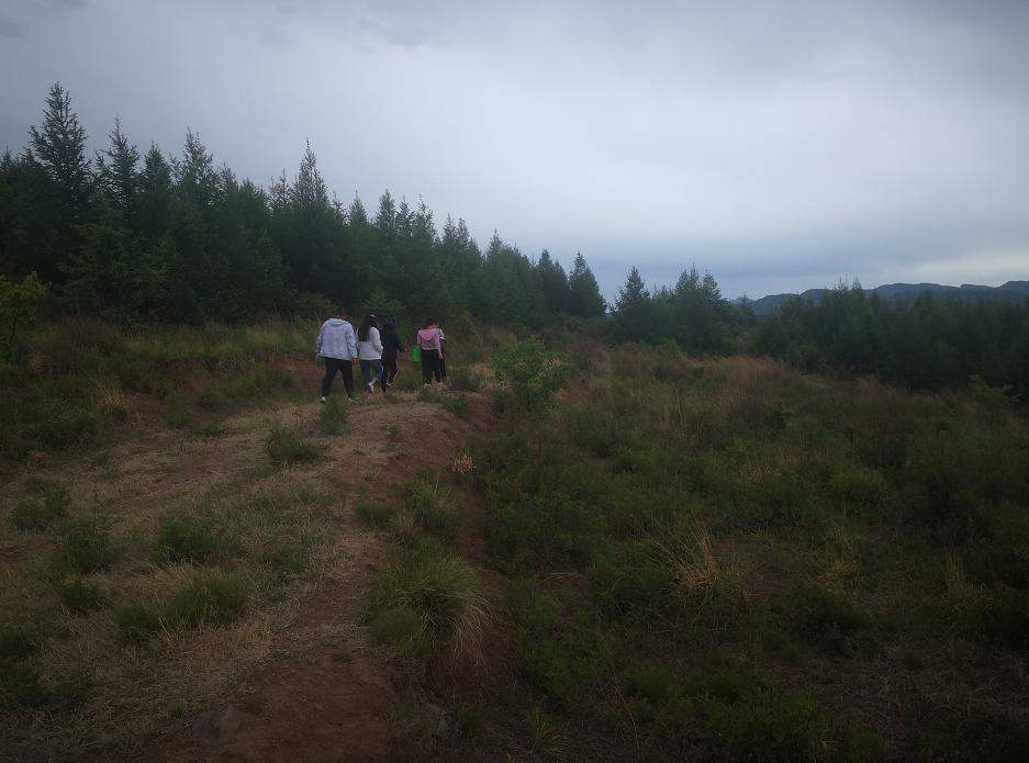 林地被毁八旬老人判刑,林地被毁八旬老人现怎处理