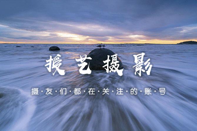 新手想买单反哪种比较适合,新手小白单反相机入门推荐