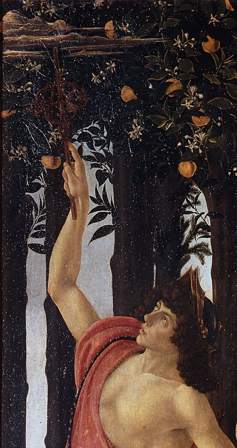 西式婚礼中婚戒戴钻石吗,钻石戒指结婚的寓意