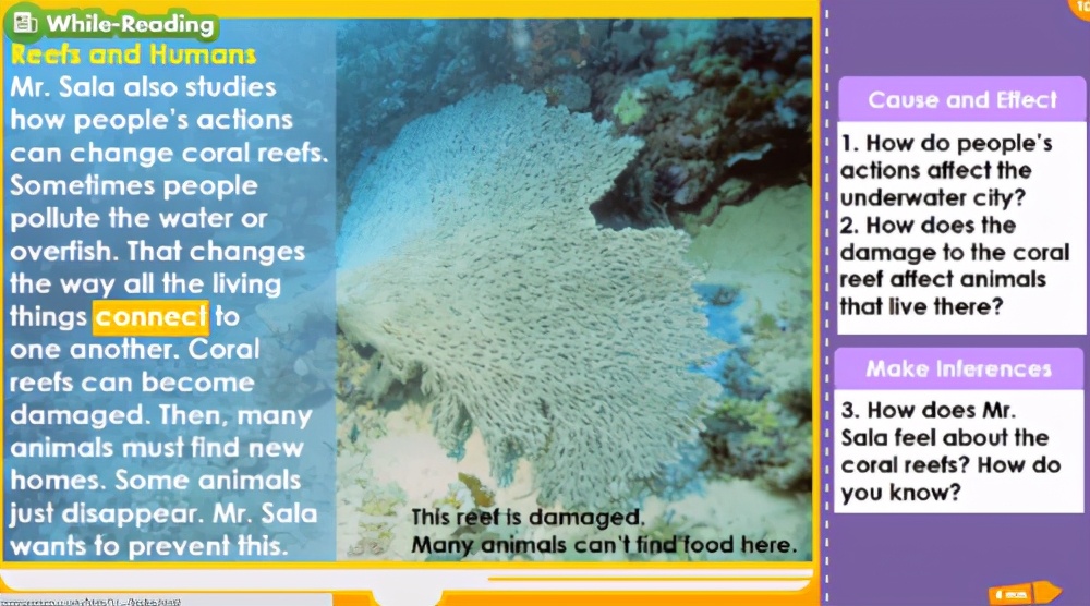 椴搁奔灏忕彮鑷爺璇剧▼浣撻獙,椴搁奔灏忕彮璇剧▼鍏戞崲