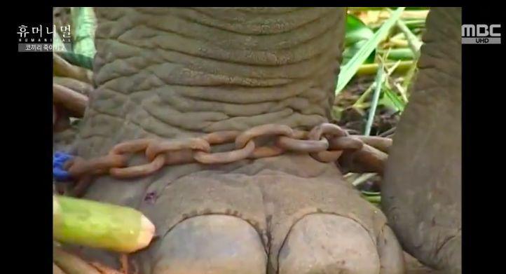 9.4分韩国催泪电视剧,韩国十部9.5评分催泪电影