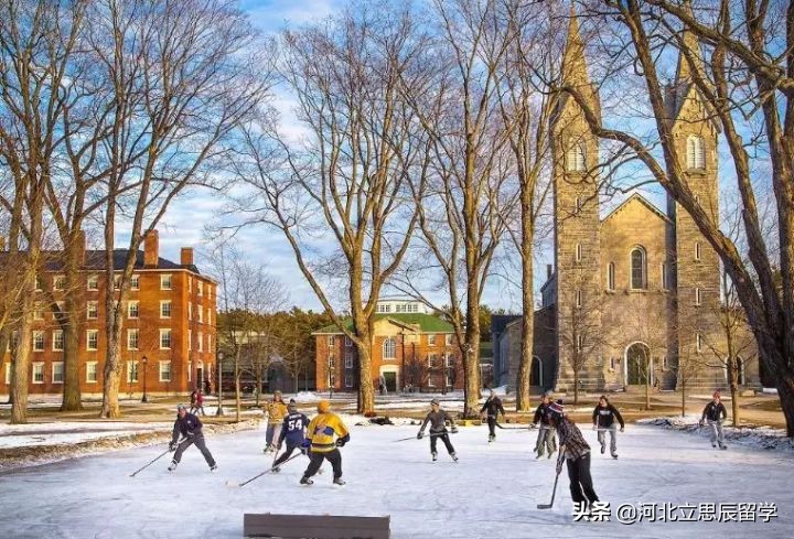 藤校并不意味着最好的大学,藤校以外十大名校