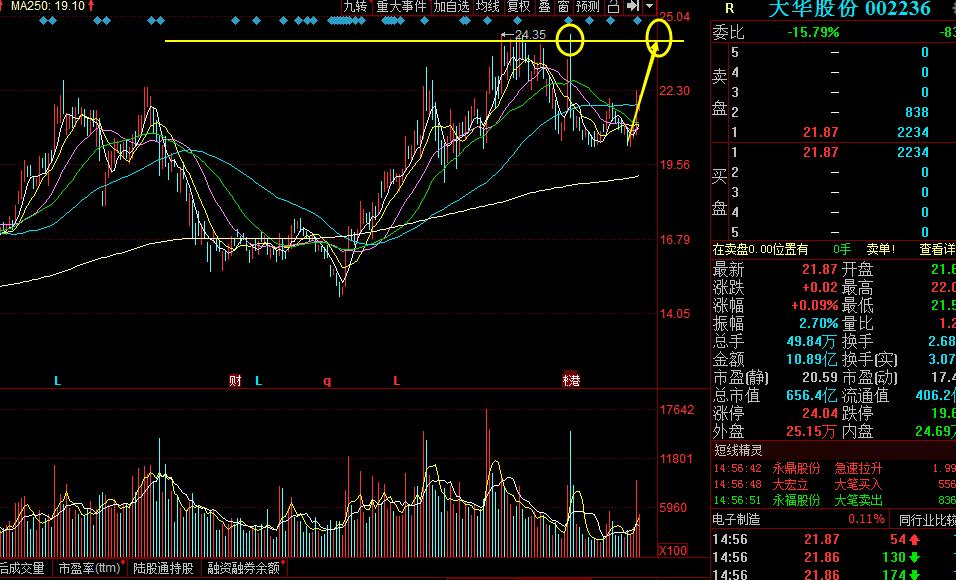 海康威视和大华股份哪个有潜力,海康威视与大华股份对比