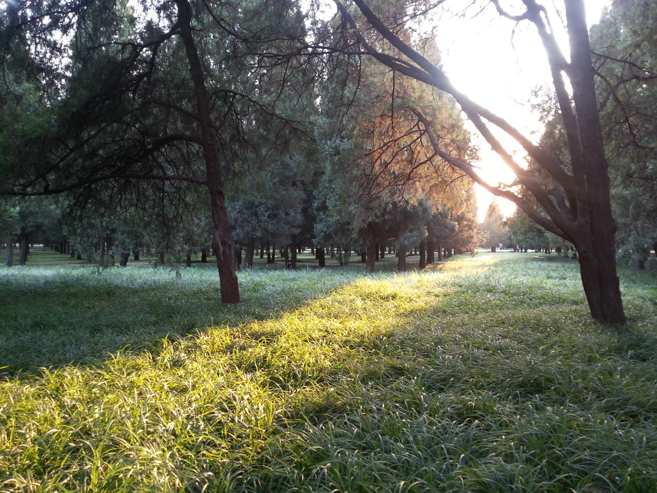 皓哥带你逛南京探店小达人,皓哥带你逛南京