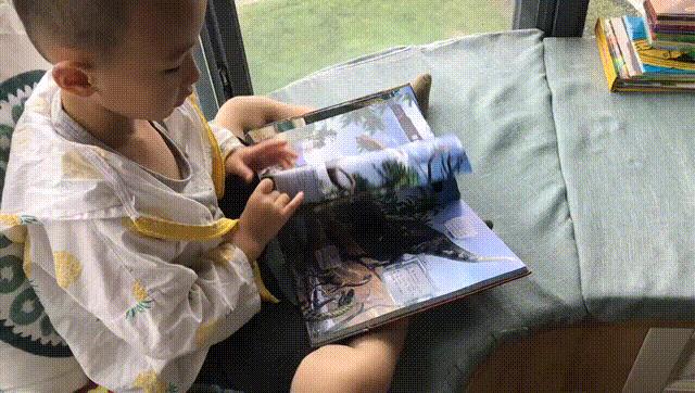 恐龙世界ar书,恐龙ar书