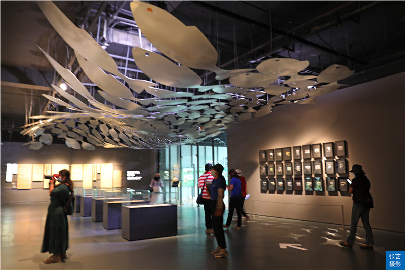 佛山华侨城欢乐海岸免门票吗,佛山华侨城欢乐海岸游乐场