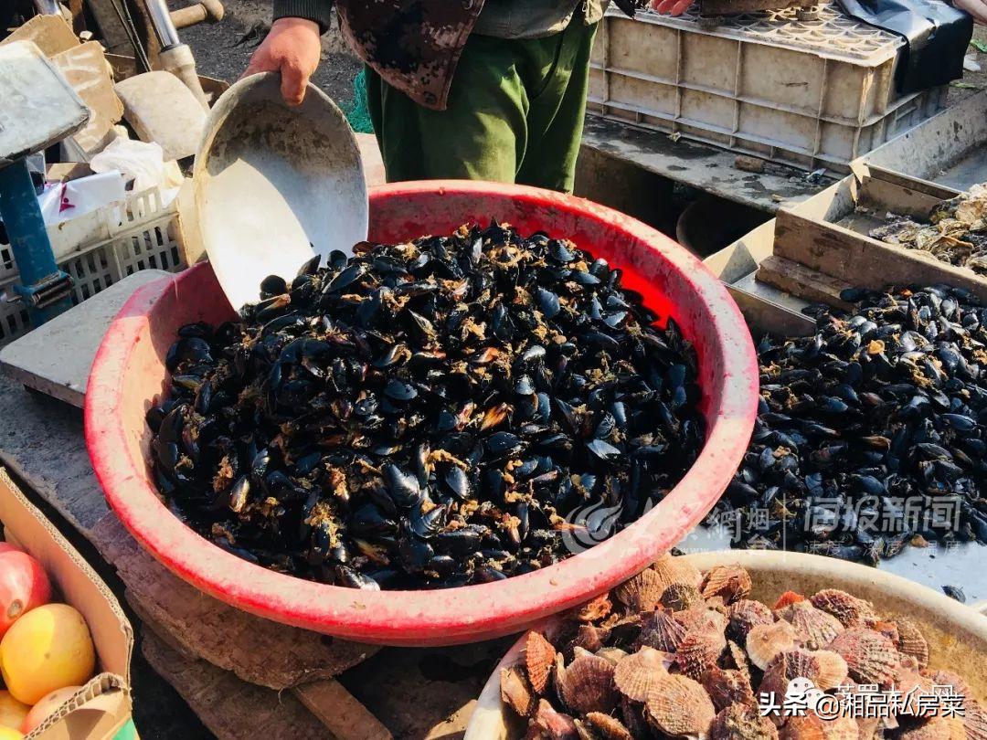 海鲜馅饺子的做法窍门视频,猪肉海鲜饺子馅的做法大全