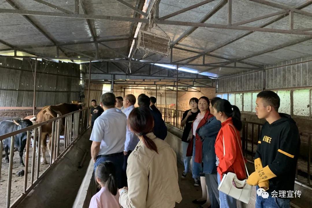 瞄准商机勇创业，会理这家人齐心搞养殖