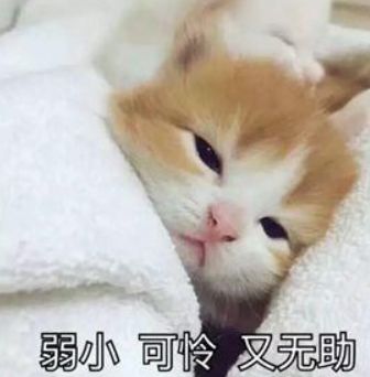 英国人骂法国人的英文,英国人骂人一般都说什么