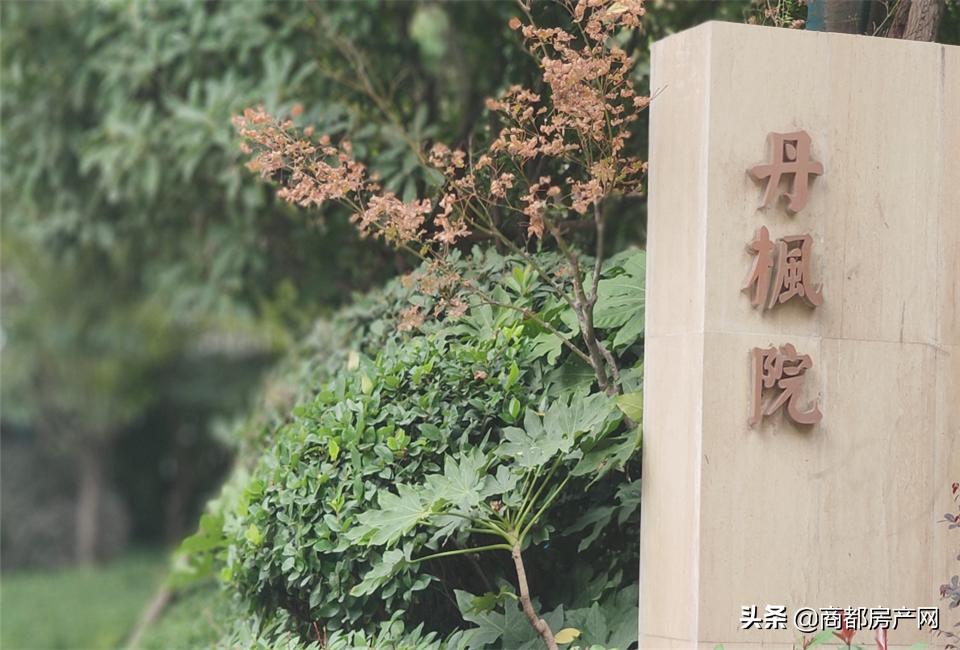 瀹炴帰鎴愮啛鏉垮潡,瀹炴帰杩愭渤鏂板煄鏉垮潡