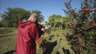 吸猫最高境界图片,吸猫最高境界完整视频