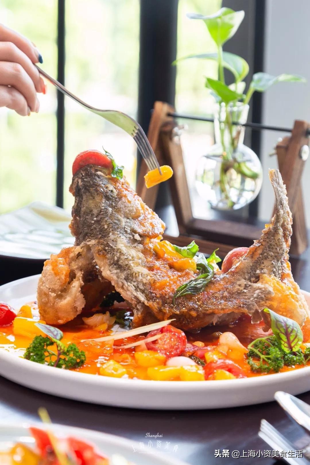 泰国9.0以上评分,豆瓣评分9.0以上的泰国电影