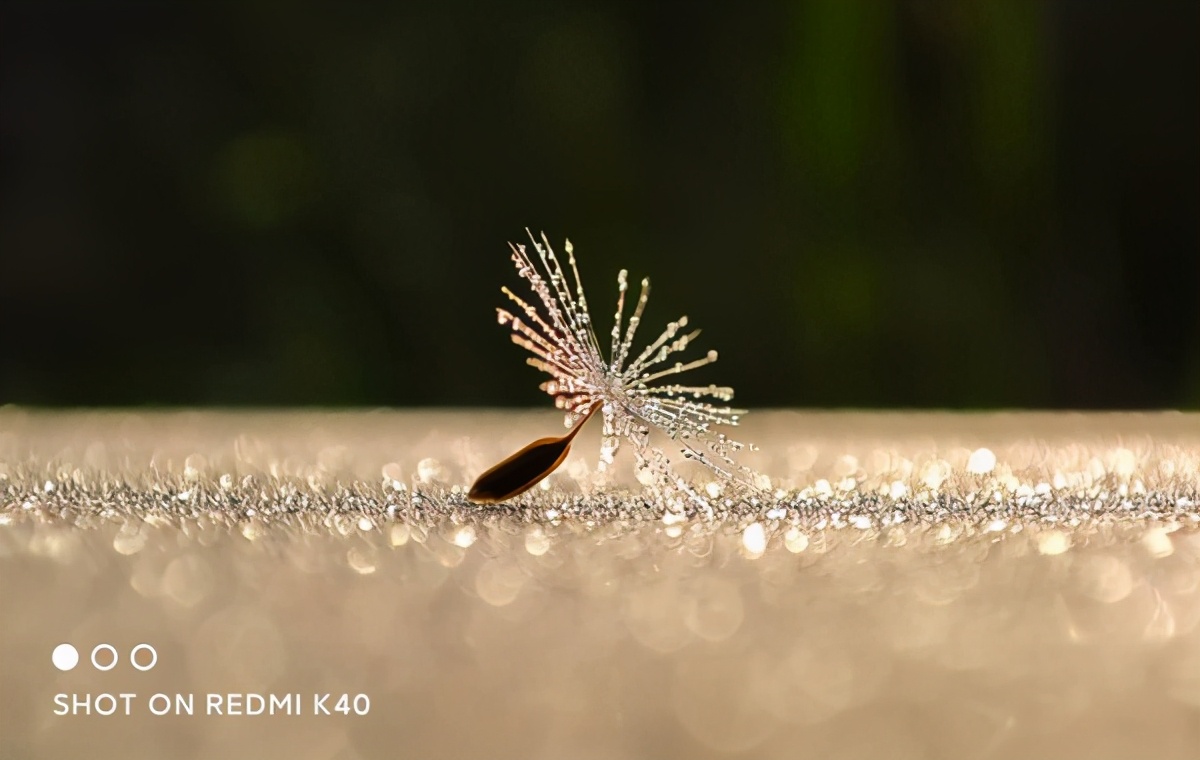 红米迎来顶级拍照手机，5个场景拍摄表现帮你深入解读