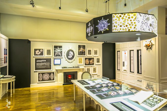 台湾艺术博物馆奇珍异宝,台湾博物馆的十大镇馆之宝价值