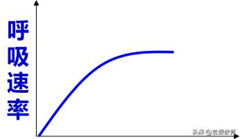 高中生物细胞呼吸作用,高中生物细胞呼吸