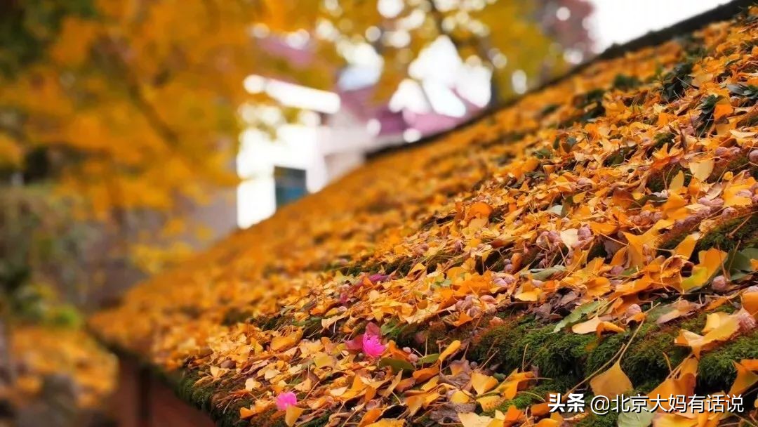 年度十佳微小说感言,十大经典微小说推荐