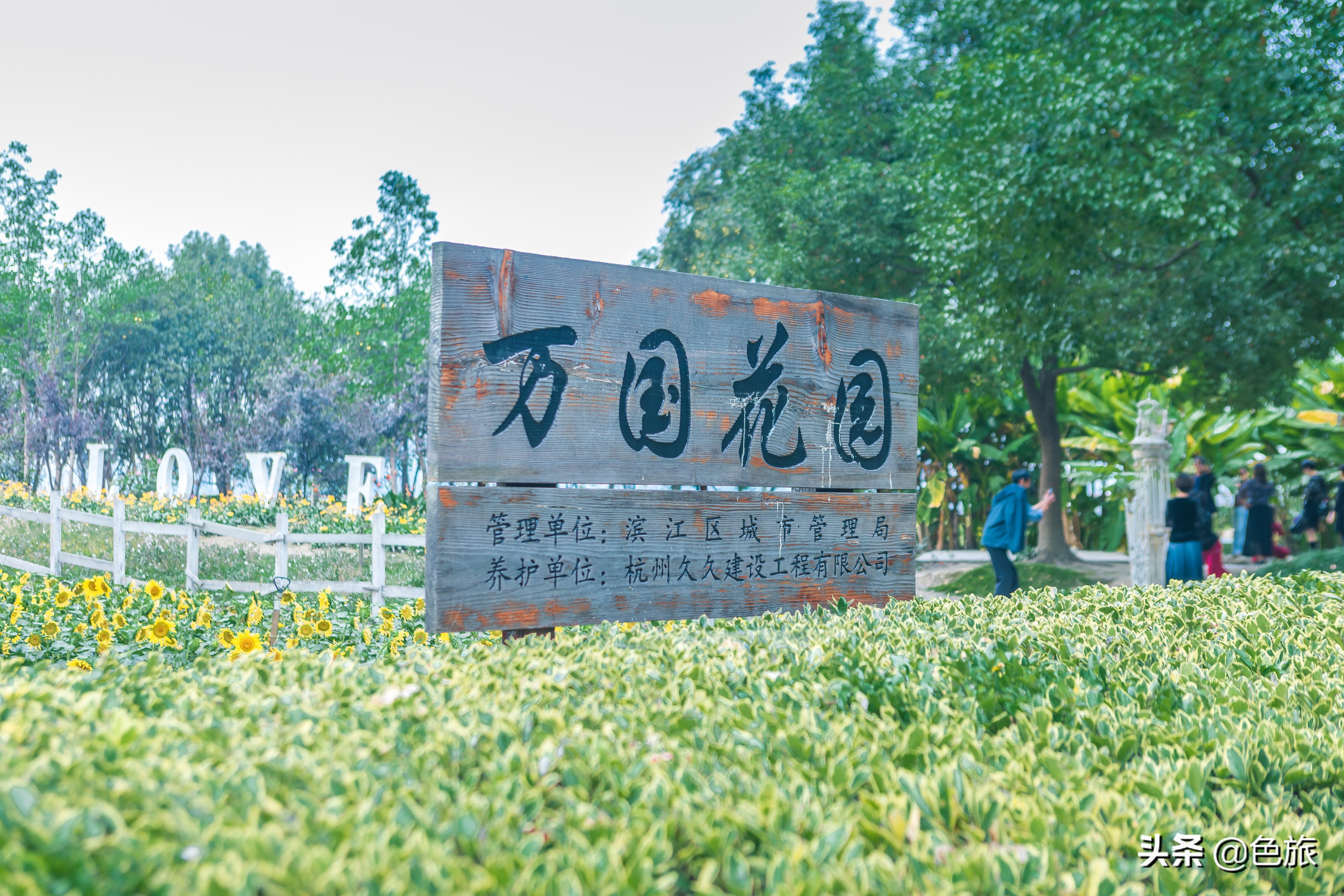 杭州花海网红打卡,杭州粉黛花海打卡地