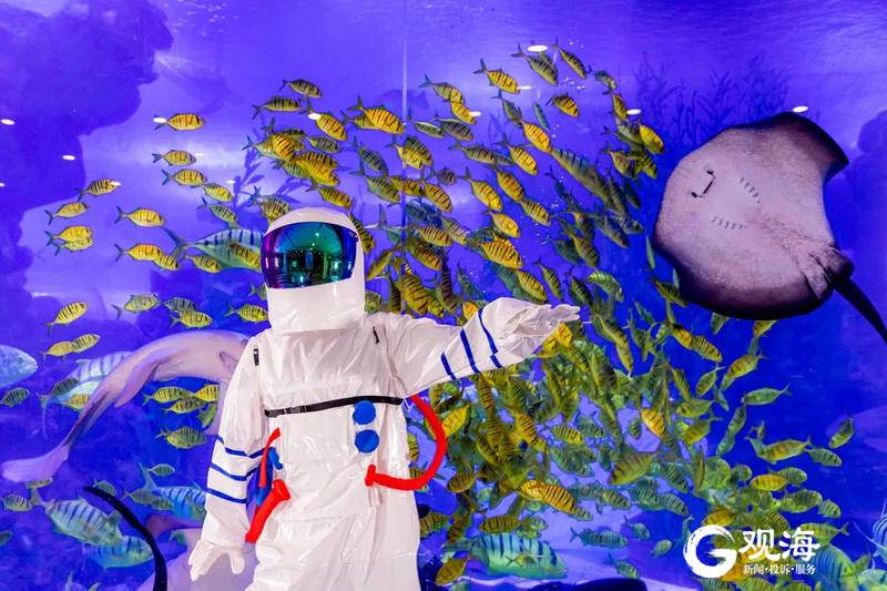 门票免费、特惠助力！重阳节带长辈逛青岛，这些景点一定适合