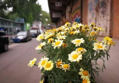 华为手机拍照打开这四个功能,华为手机拍照这四个功能要打开