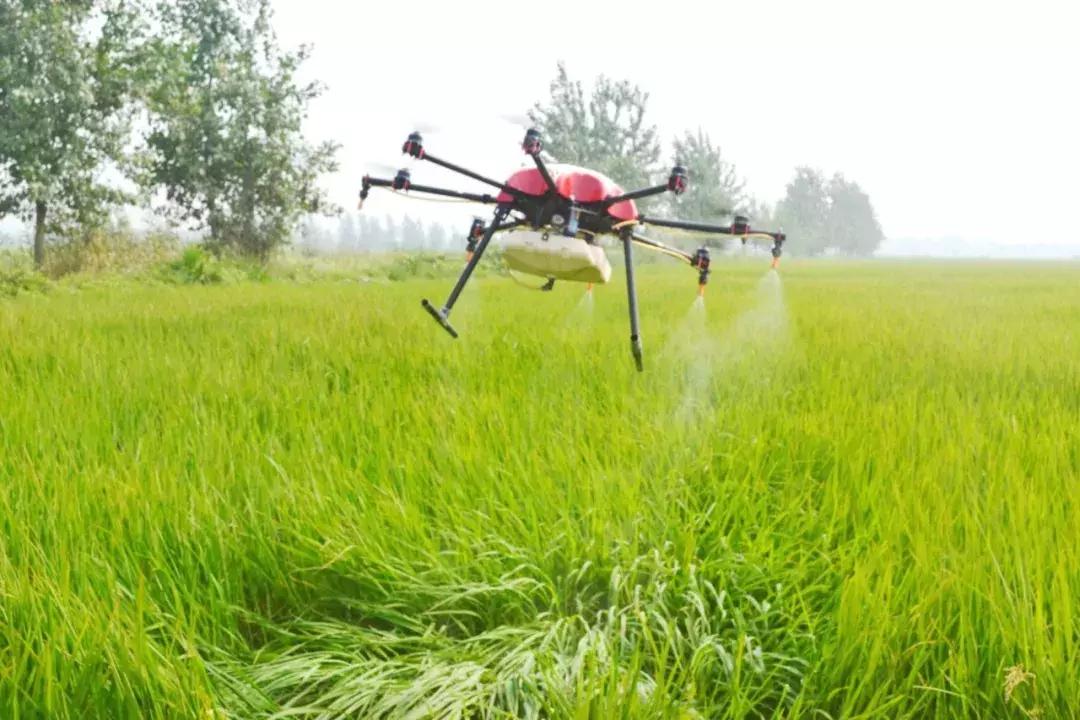 农村一千元小本创业加盟,一千元小本创业农村